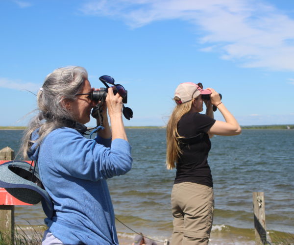 Members of the birding teamt hat tallied 47 species during the bioblitz.