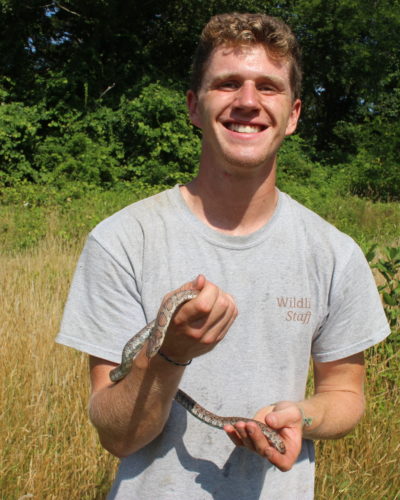 Silas Beers of BiodiversityWorks with a milk snake, Lampropeltis triangulum
