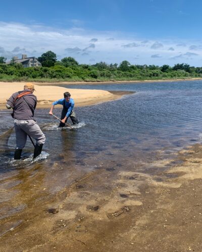 Sam Gurney and Rich Couse seining for aquatic life at Long Point